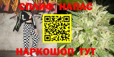 молекула духа Гусев